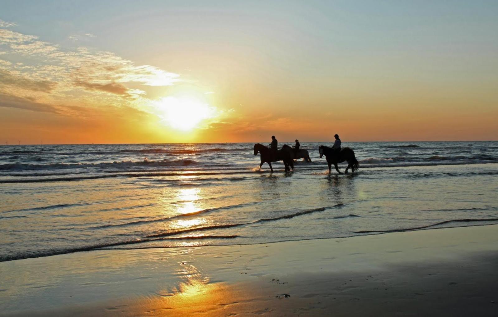 Mer Et Soleil A Blonville Sur Mer/ Deauville Buitenkant foto